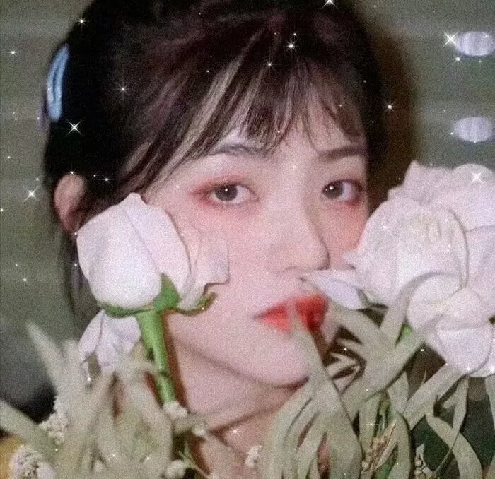 暮光之城～毕业～ 封面