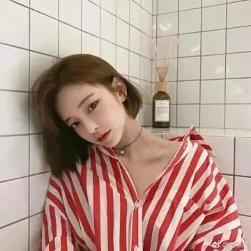 维琴河第三季 封面