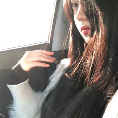 送子鸟 封面
